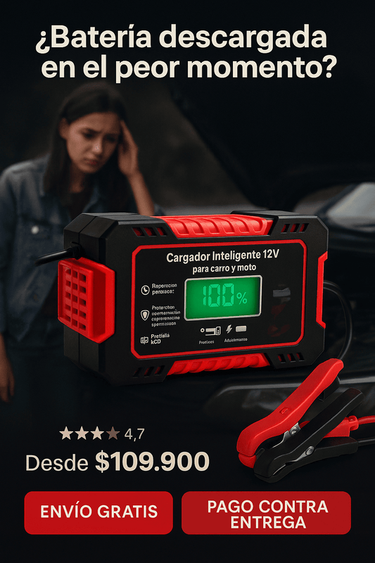 Cargador Bateria Carro Moto 12v Pantalla